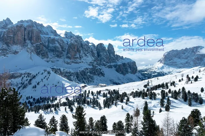 : View from Plan de Gralba to Val Gardena ski area : View from Plan de Gralba to Val Gardena ski area