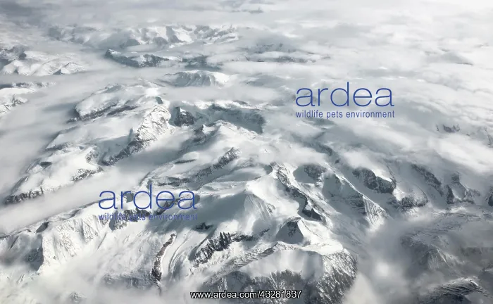 : View from the plane to snow-covered mountainous : View from the plane to snow-covered mountainous
