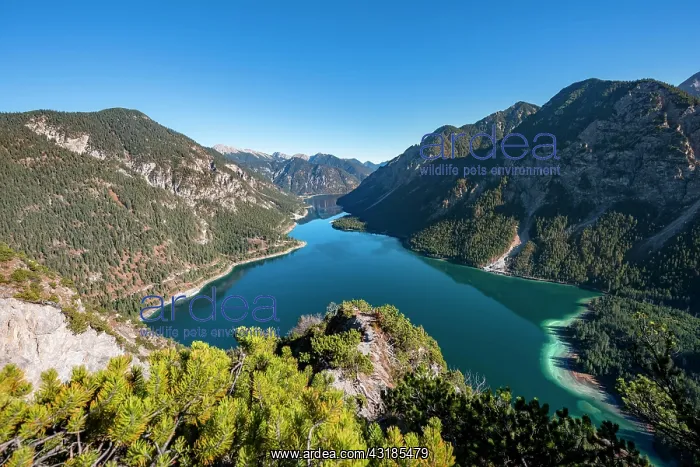  : View of Plansee, behind Schnnjnchl, hike to Schrofennas