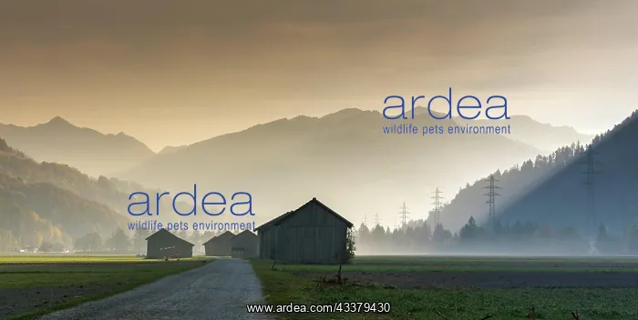 : View of the Praettigau Valley near Klosters in Switzerland : View of the Praettigau Valley near Klosters in Switzerland