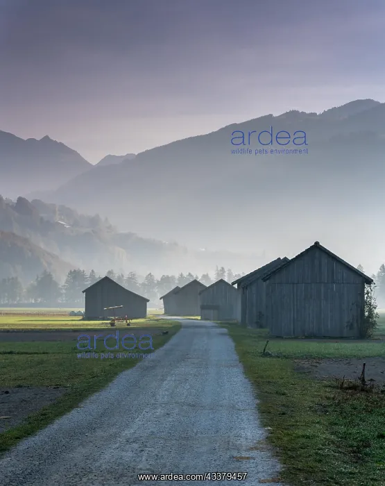 : View of the Praettigau Valley near Klosters in Switzerland : View of the Praettigau Valley near Klosters in Switzerland
