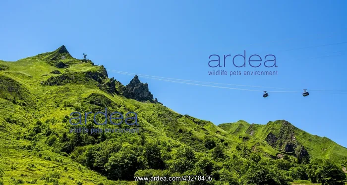 : View on Puy de Sancy with cable car, Auvergne Volcanoes : View on Puy de Sancy with cable car, Auvergne Volcanoes