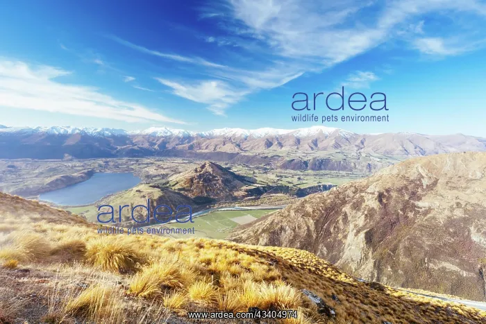  : The view over Queenstown and Lake Hayes from the
