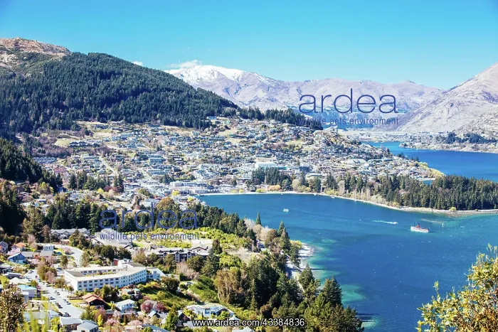  : A view of Queenstown on a sunny spring day in New Zealand
