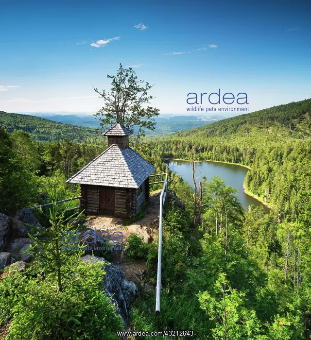 : View of Rachel Chapel with Rachel Lake, Bavarian : View of Rachel Chapel with Rachel Lake, Bavarian