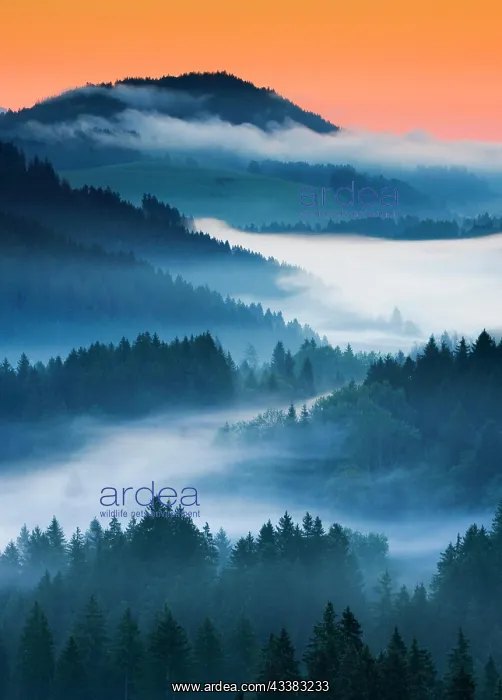 : View from the Raten Pass over a hilly landscape : View from the Raten Pass over a hilly landscape