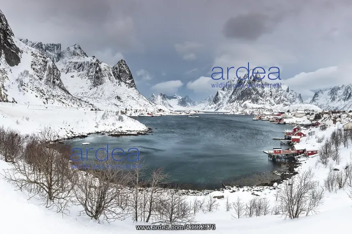 : View of Reine with Reinefjord, snow-covered mountains : View of Reine with Reinefjord, snow-covered mountains