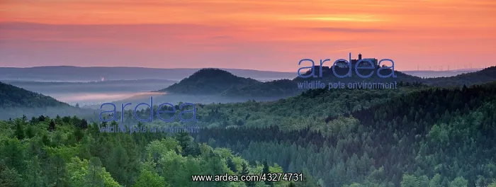 : View from Rennsteig over the Thuringian Forest to : View from Rennsteig over the Thuringian Forest to