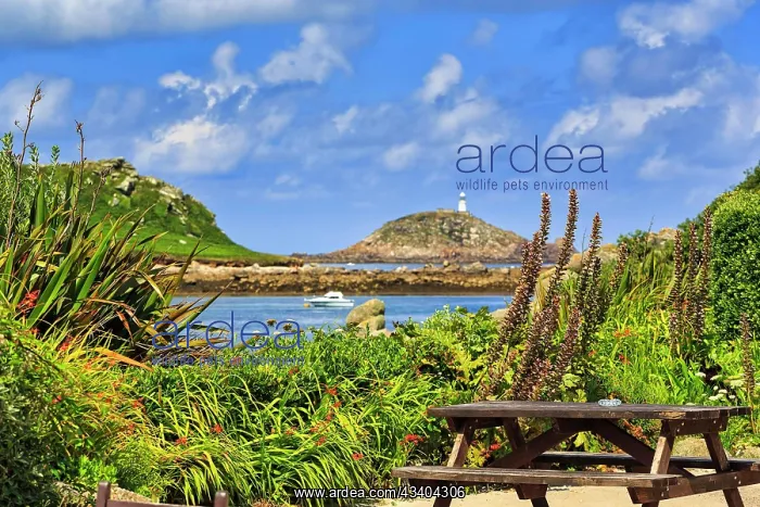 : View from restaurant terrace of coastline with lighthouse : View from restaurant terrace of coastline with lighthouse