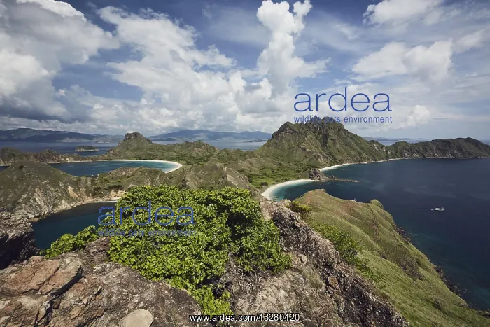 : View from ridge, Padar Island, Komodo National Park : View from ridge, Padar Island, Komodo National Park