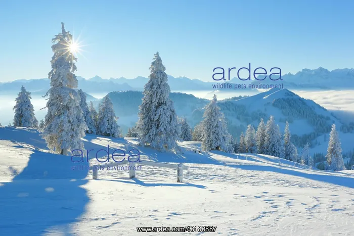 : View from the Rigi, Switzerland, Europe : View from the Rigi, Switzerland, Europe