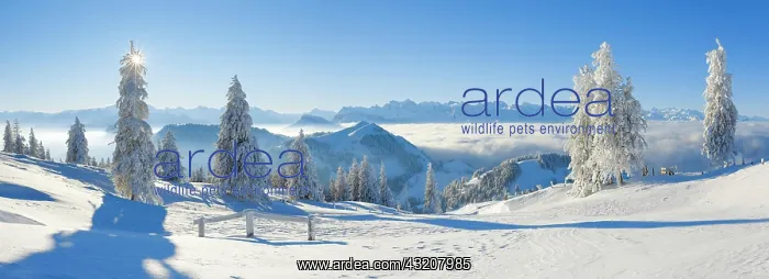 : View from the Rigi, Switzerland, Europe : View from the Rigi, Switzerland, Europe
