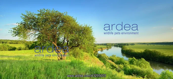 : View of the river Saale, Natural Park Unteres Saaletal : View of the river Saale, Natural Park Unteres Saaletal