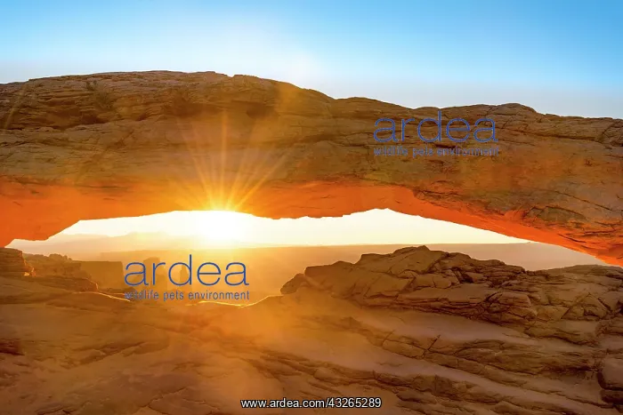 : View through rock arch, Mesa Arch, sunbeams, sunrise : View through rock arch, Mesa Arch, sunbeams, sunrise