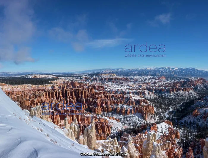  : View of the rock formation Amphitheater, snowy bizarre