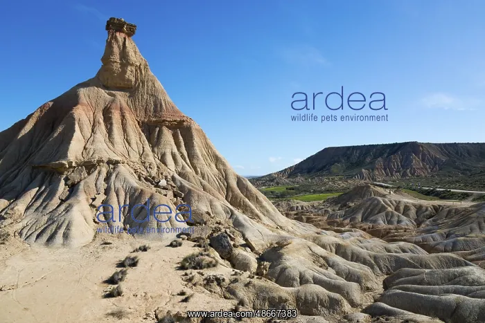 : View of a rock formation in a dry, barren desert landscape : View of a rock formation in a dry, barren desert landscape
