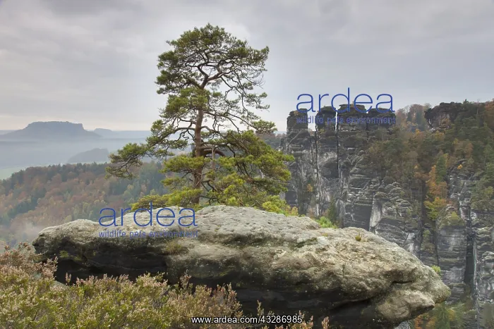 : View at rock Kleine Gans over the Raaber Kessel : View at rock Kleine Gans over the Raaber Kessel