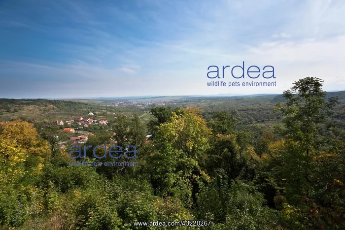  : view from the romantic church of Cisnadioara