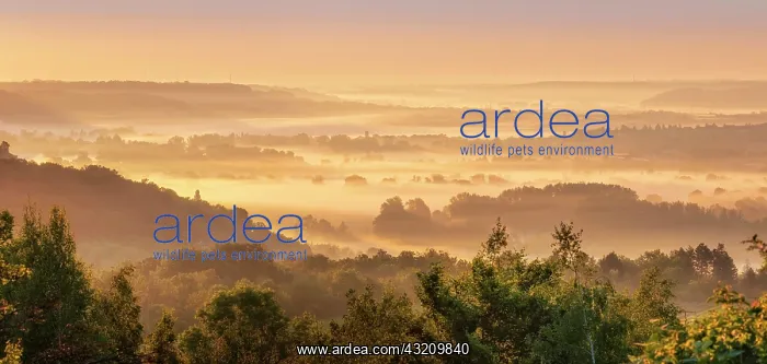 : View into the Saale valley with morning fog at s : View into the Saale valley with morning fog at s