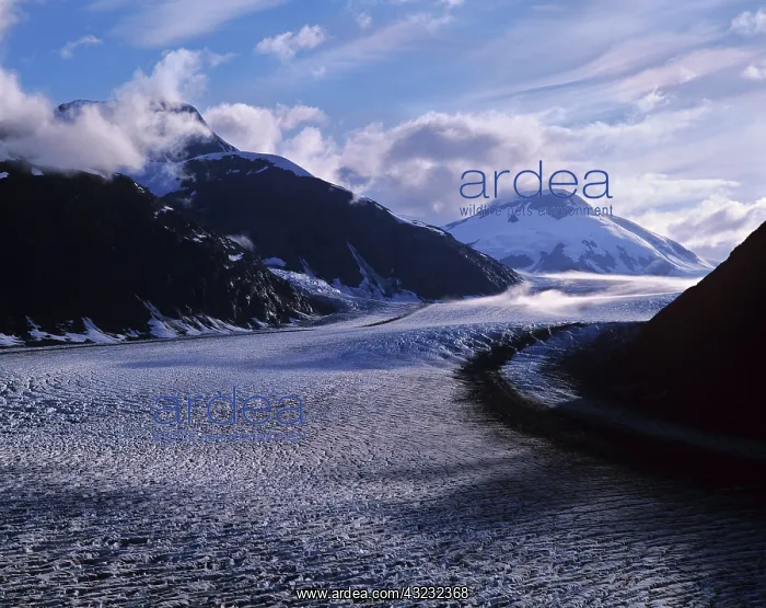 : View of Salmon Glacier near Hyder, Alaska : View of Salmon Glacier near Hyder, Alaska