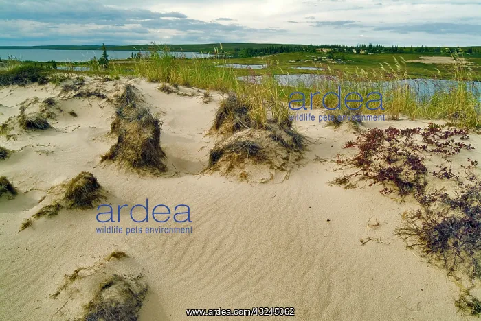 : View from a sandy hilltop of lakes and hills : View from a sandy hilltop of lakes and hills