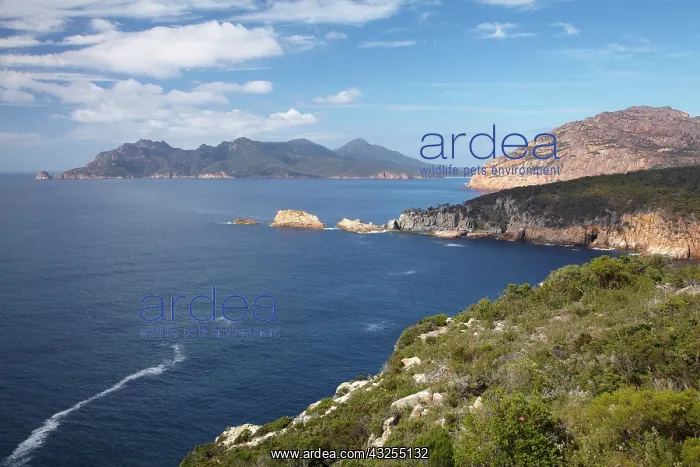 : View to Schouten Island and The Hazards : View to Schouten Island and The Hazards