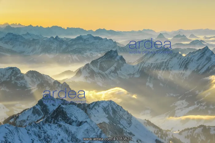 : View from Scntis, Appenzell, Switzerland, Europe : View from Scntis, Appenzell, Switzerland, Europe