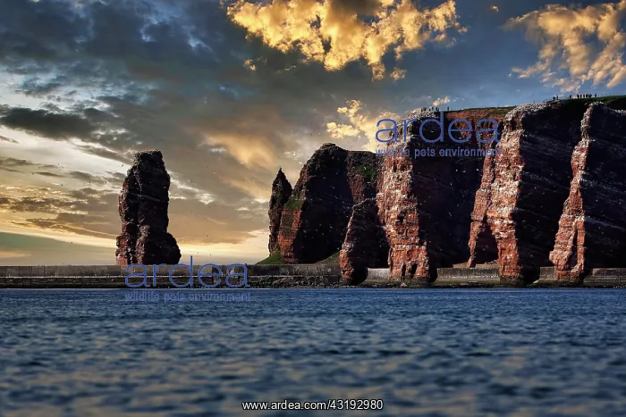 : View from the sea to the rocky island of Helgoland : View from the sea to the rocky island of Helgoland