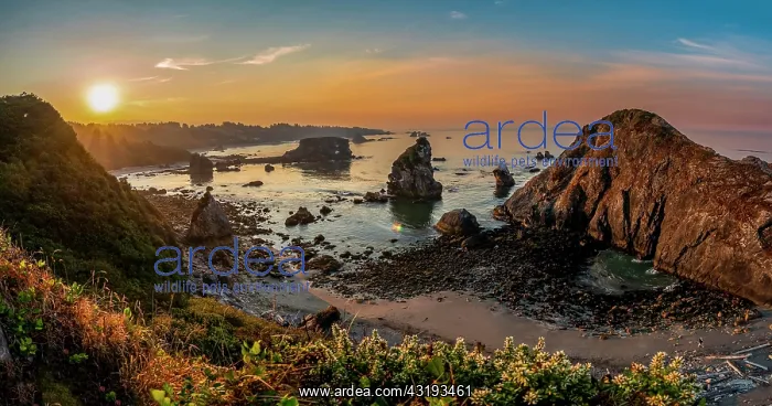 : View of sea and sandy beach Harris Beach with rocks : View of sea and sandy beach Harris Beach with rocks