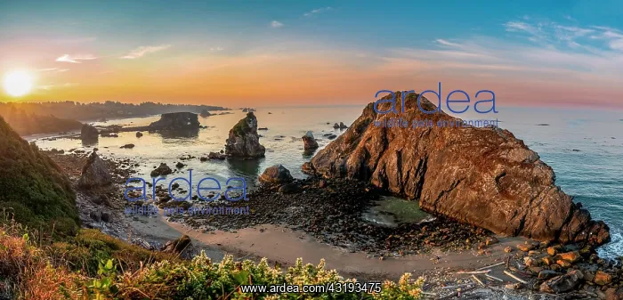 : View of sea and sandy beach Harris Beach with rocks : View of sea and sandy beach Harris Beach with rocks