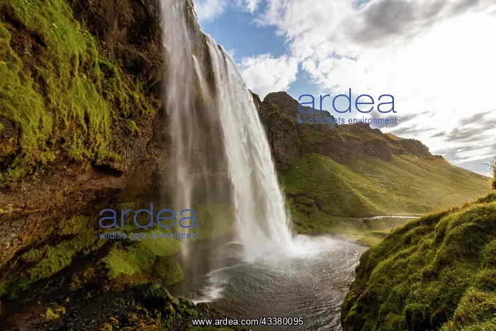 : View of the Seljalandsfoss waterfall in the south : View of the Seljalandsfoss waterfall in the south