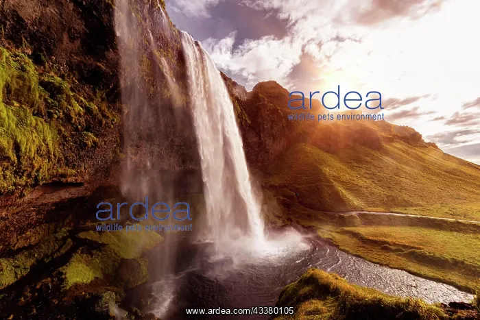 : View of the Seljalandsfoss waterfall in the south : View of the Seljalandsfoss waterfall in the south