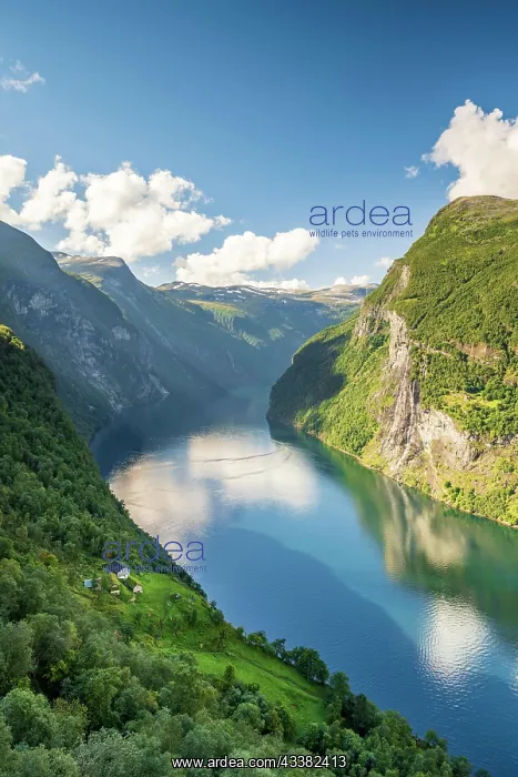 : View of Skagefl farm and Geirangerfjord, near G : View of Skagefl farm and Geirangerfjord, near G