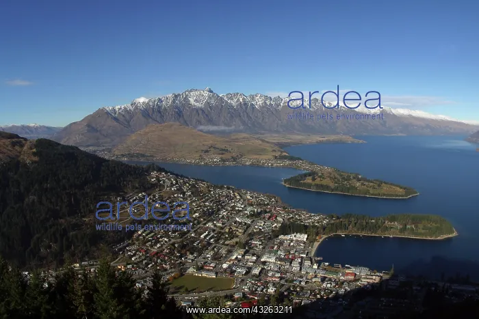 : View from Skyline Gondola, Queenstown, South : View from Skyline Gondola, Queenstown, South
