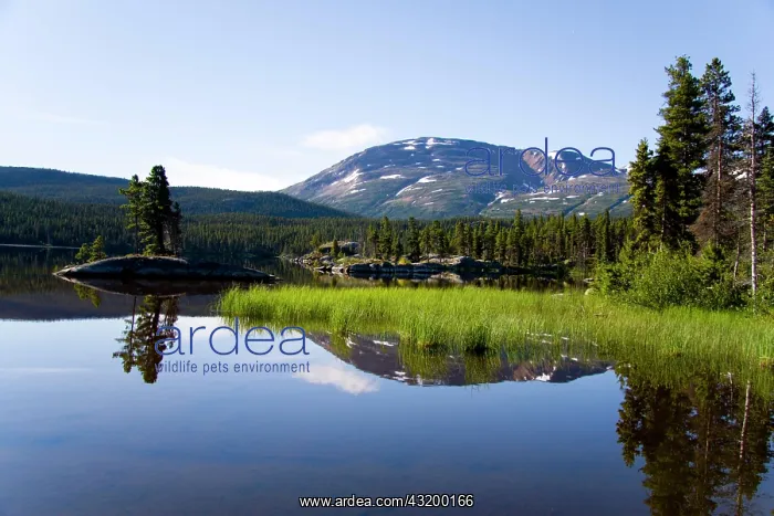 : View of smooth-surfaced Bare Loon Lake, Chilkoot : View of smooth-surfaced Bare Loon Lake, Chilkoot