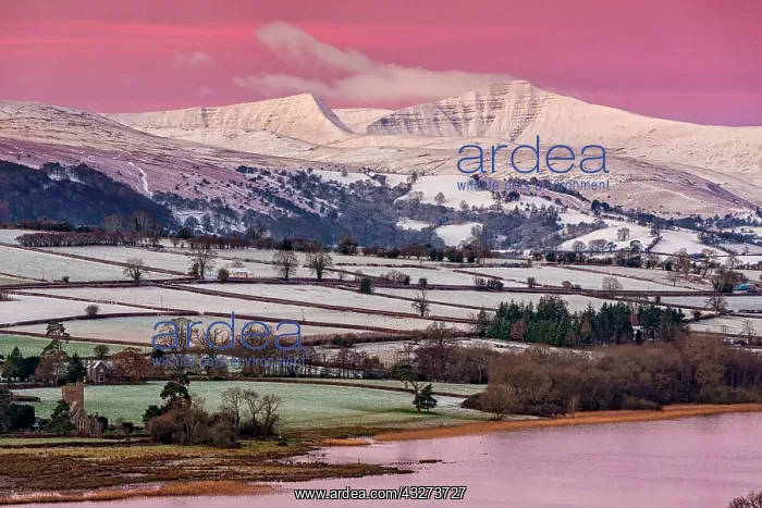 : View of snow covered farmland and hills at sunrise : View of snow covered farmland and hills at sunrise