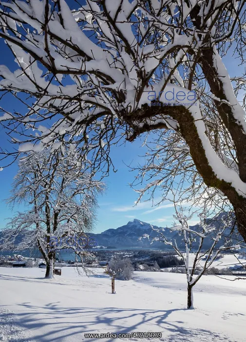 : View of snow-covered Mondseeland with Schafberg : View of snow-covered Mondseeland with Schafberg