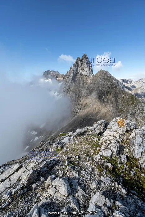  : View of the solid cloud-covered summit and ridge