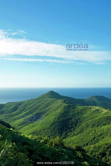  : View of south west coast from Boggy Peak