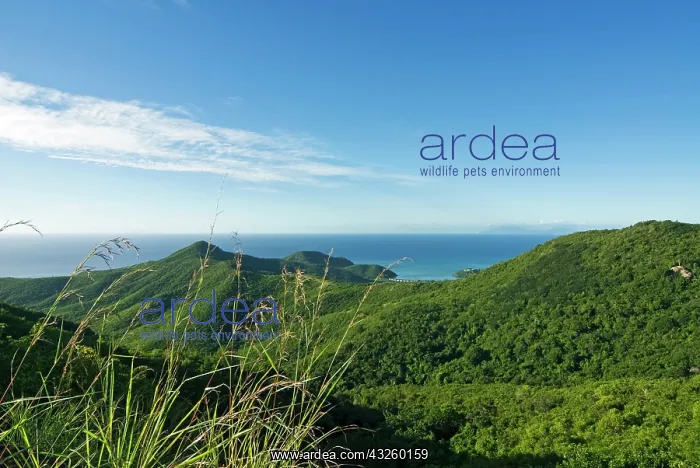  : View of south west coast from Boggy Peak