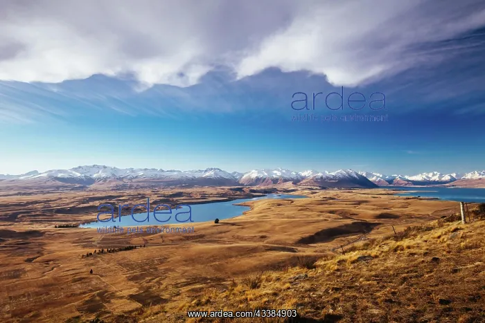 : The view of the southern alps and Lake Alexandrina f : The view of the southern alps and Lake Alexandrina f