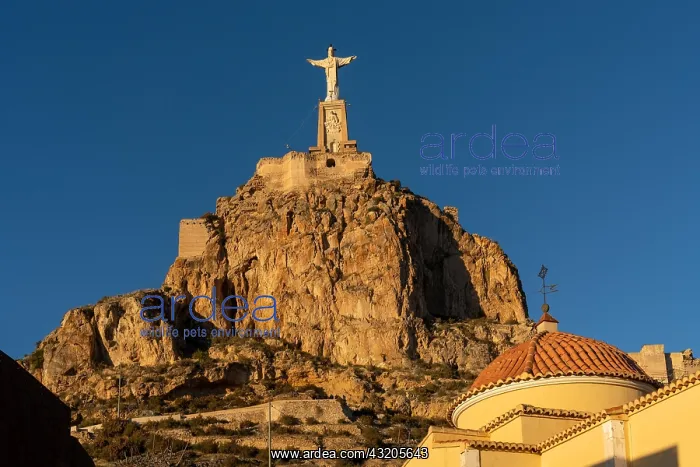 : view of the statue of Christ of Monteagudo in Murcia : view of the statue of Christ of Monteagudo in Murcia