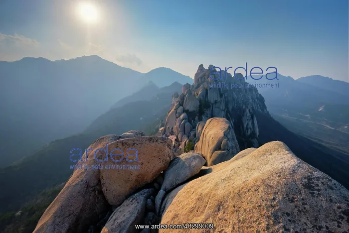: View of stones and rock formations from Ulsanbawi : View of stones and rock formations from Ulsanbawi