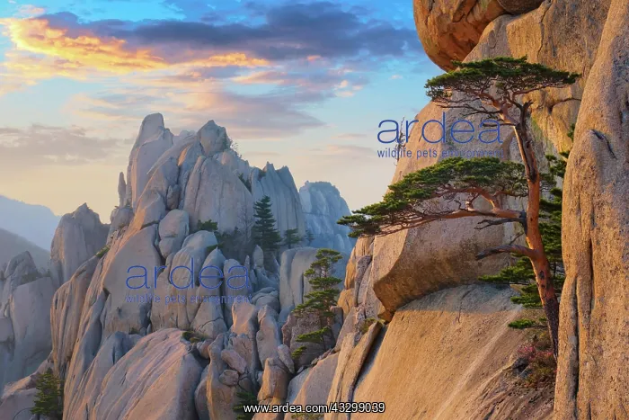 : View of stones and rock formations from Ulsanbawi : View of stones and rock formations from Ulsanbawi