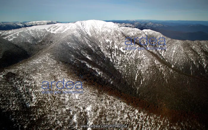 : View to the summit of Mount Stirling in winter : View to the summit of Mount Stirling in winter