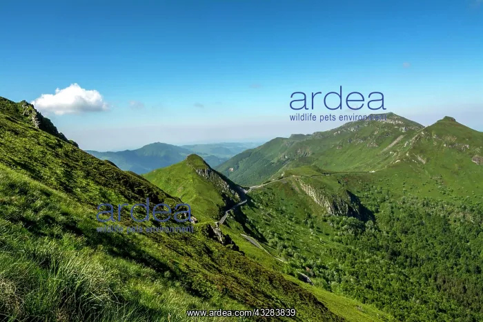 : View from the summit of Puy Mary on Cantal mounts : View from the summit of Puy Mary on Cantal mounts