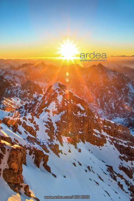 : View from the summit of the Zugspitze, Bavaria : View from the summit of the Zugspitze, Bavaria