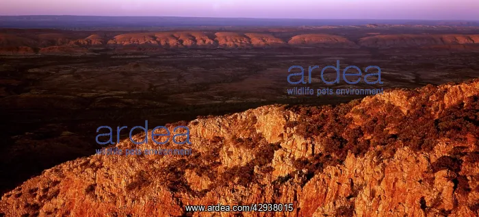 : View at sunrise from Mount Sonder. West MacDonnell : View at sunrise from Mount Sonder. West MacDonnell