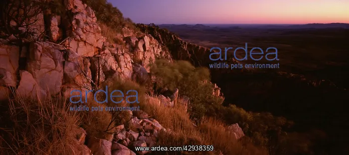 : View at sunrise from Mount Sonder. West MacDonnell : View at sunrise from Mount Sonder. West MacDonnell