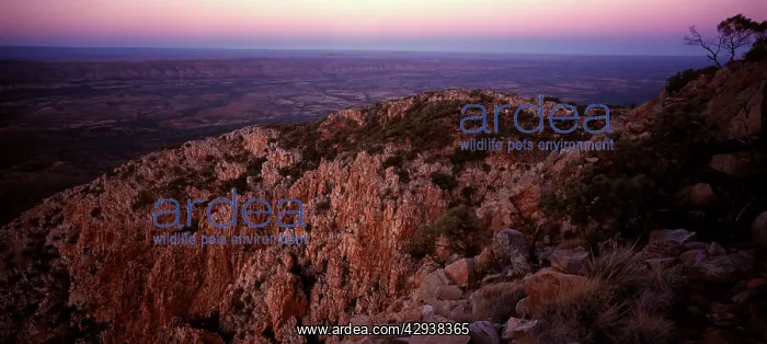 : View at sunrise from Mount Sonder. West MacDonnell : View at sunrise from Mount Sonder. West MacDonnell